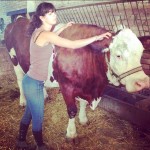Ostéopathie bovine